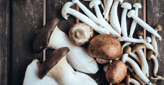 Nutritional Benefits of Mushrooms – Fabulous Fungi